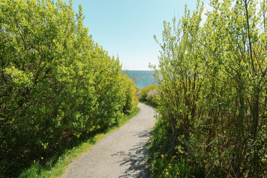 Disse får støtte fra Sparebanken Norge turstimidler i 2023