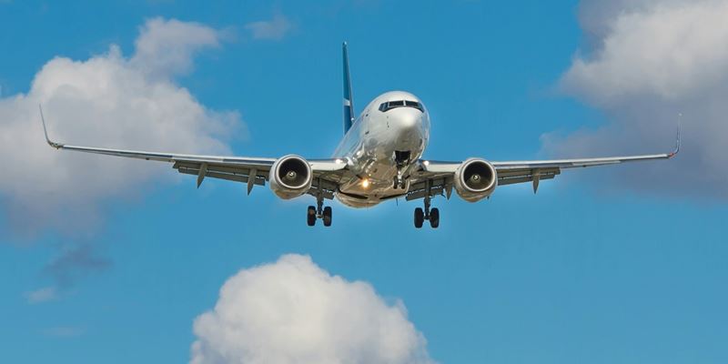 Fly, illustrasjonsfoto