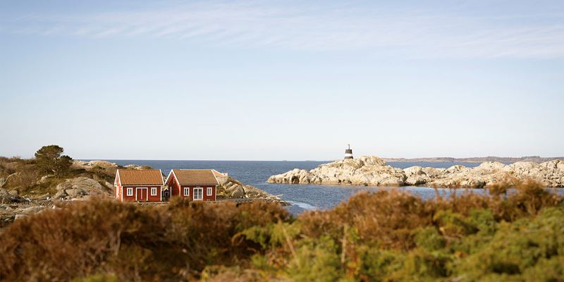 Vi må sammen lykkes med det grønne skiftet for å ta vare på omgivelsene våre