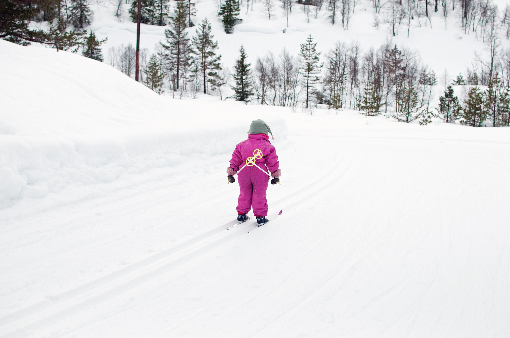 Barn på ski i skoglandskap