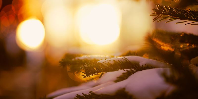 Budsjett - et smart nyttårsforsett