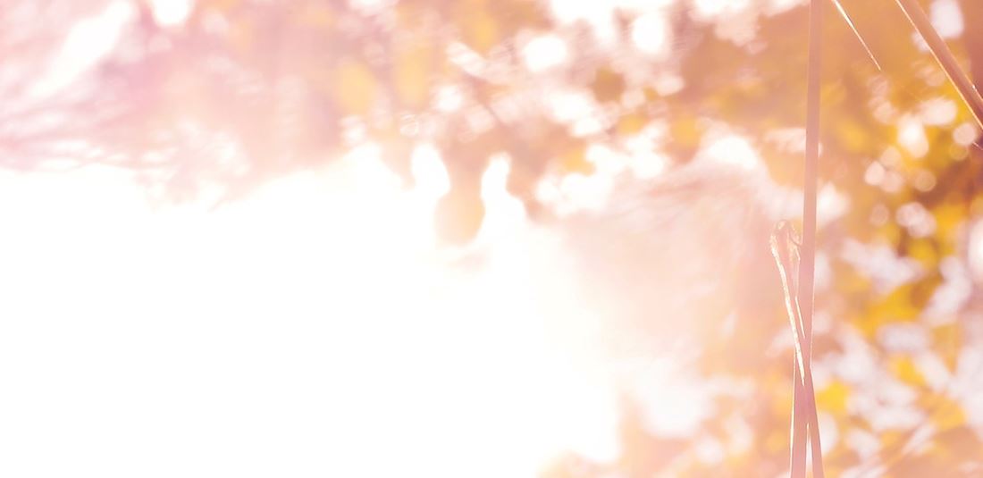 Illustrasjonsfoto | Informasjon fra Sparebanken Norge