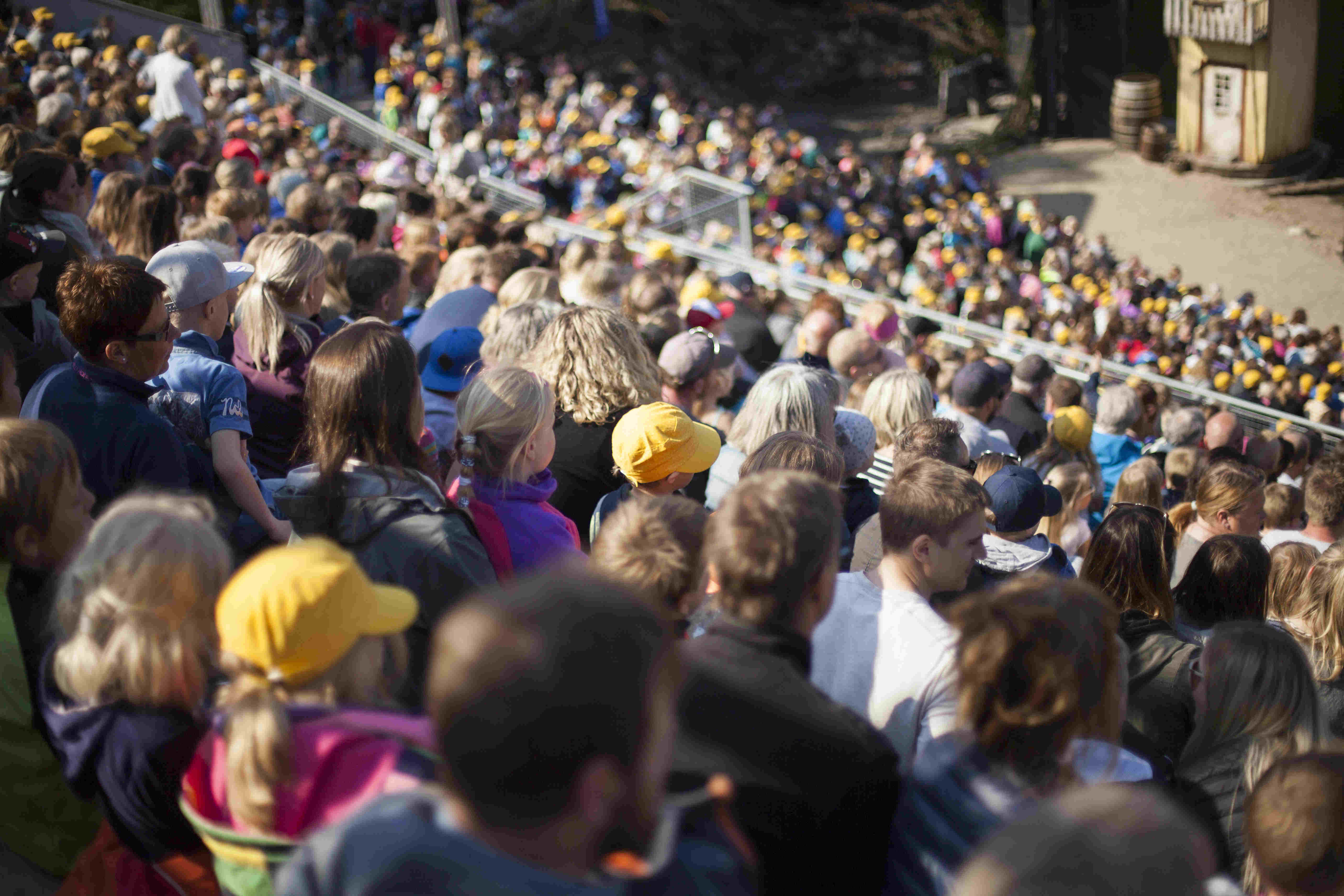 Bilde fra Gulledagen 2016