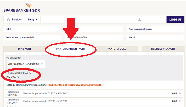 Illustrasjonsfoto | Faktura til kredittkort i nettbanken