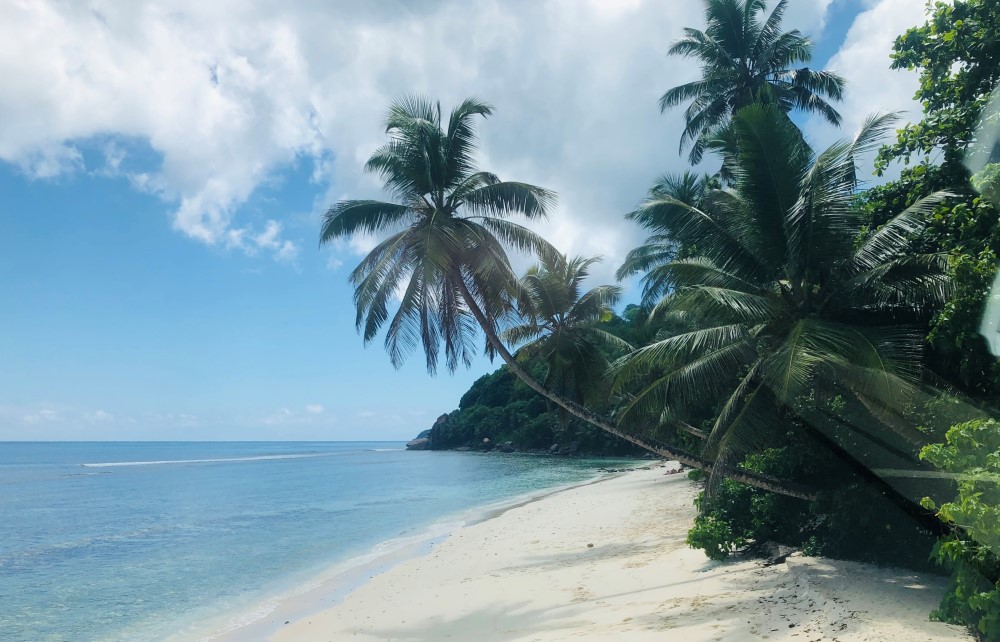Foto av strand, sjø og palmer fra drømmeferien